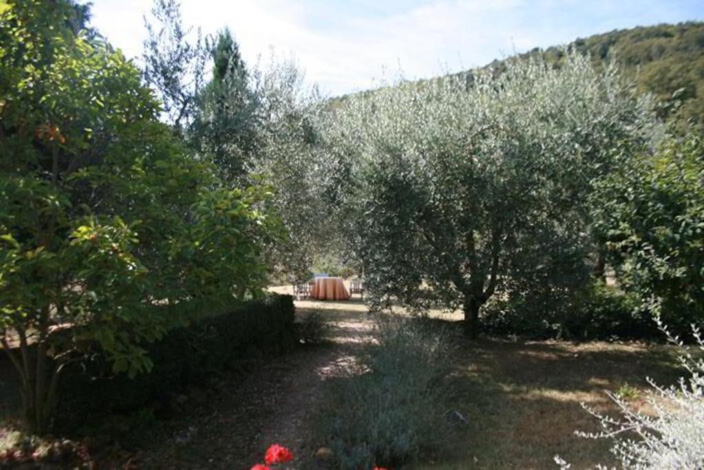 Podere Gli Oppi Toscana Villa Petroio Ngoại thất bức ảnh